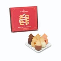 Year of the Snake Gift Box 2025 with cookie plate